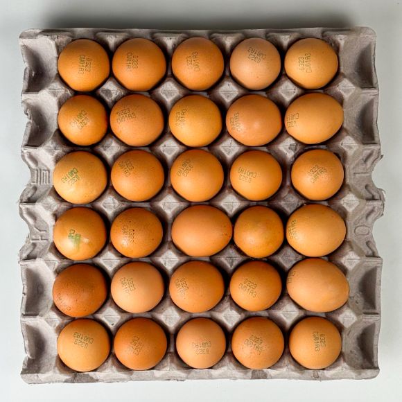 Telur ukuran besar (30 butir), 1 tray 2