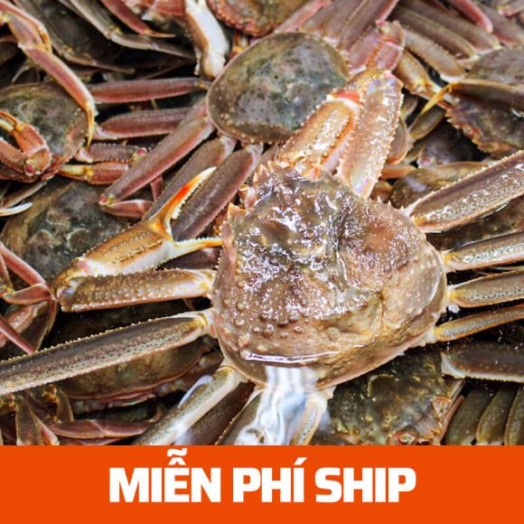 Cua tuyết sống 1kg, 1 con 1
