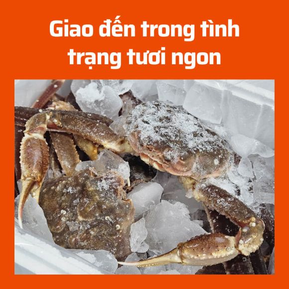 Cua tuyết sống 1kg, 1 con 2
