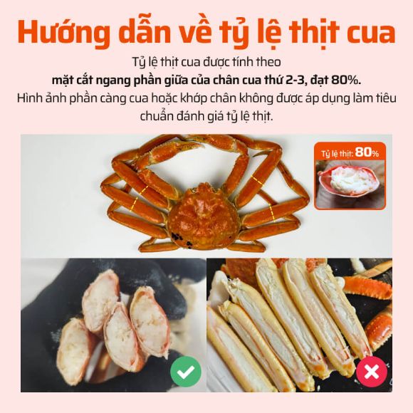 Cua tuyết sống 1kg, 1 con 5