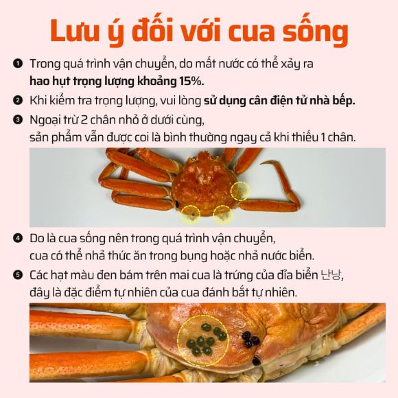 Cua tuyết sống 1kg, 1 con 6