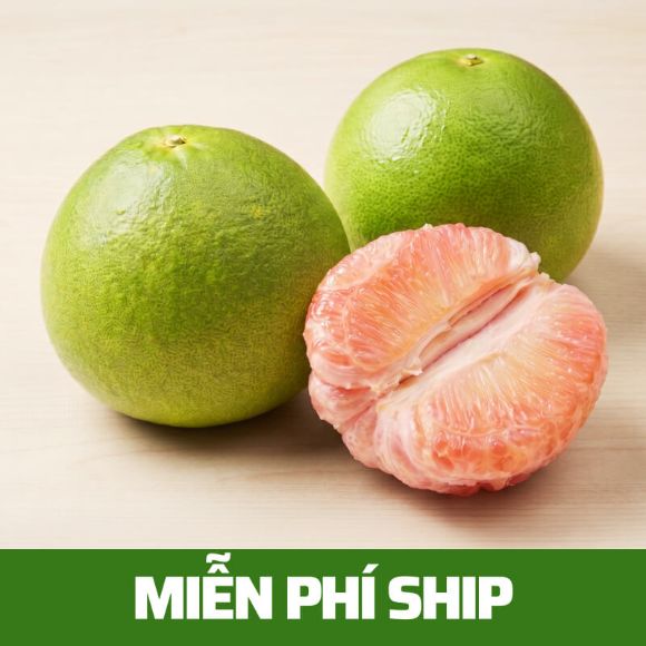 [Miễn phí ship] Bưởi da xanh 3kg(2-3 quả), 1 thùng 1