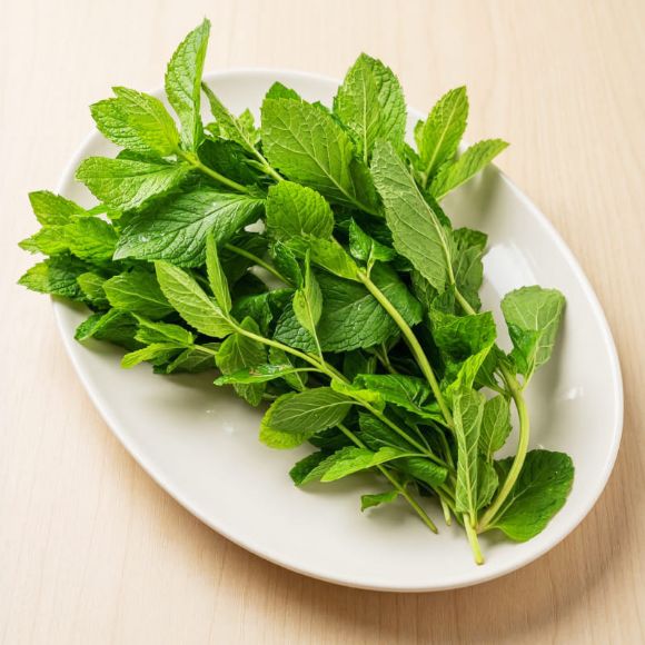 Húng lủi 100g, 1 bó 1