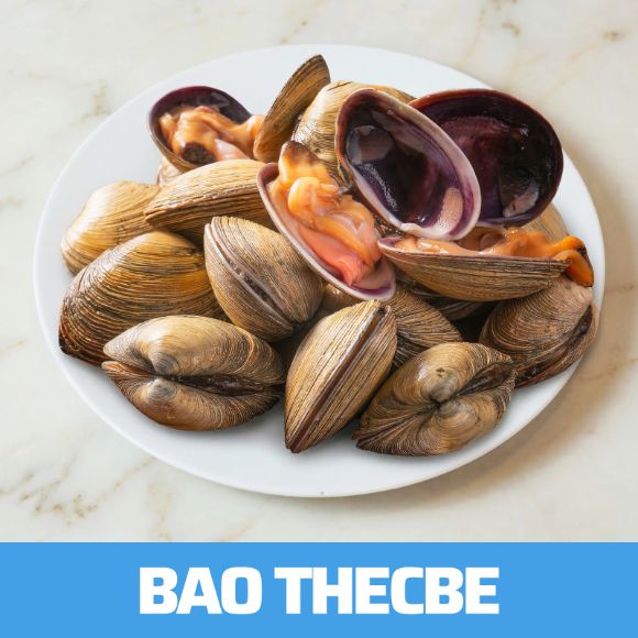 Ngao voi sống 1kg 1