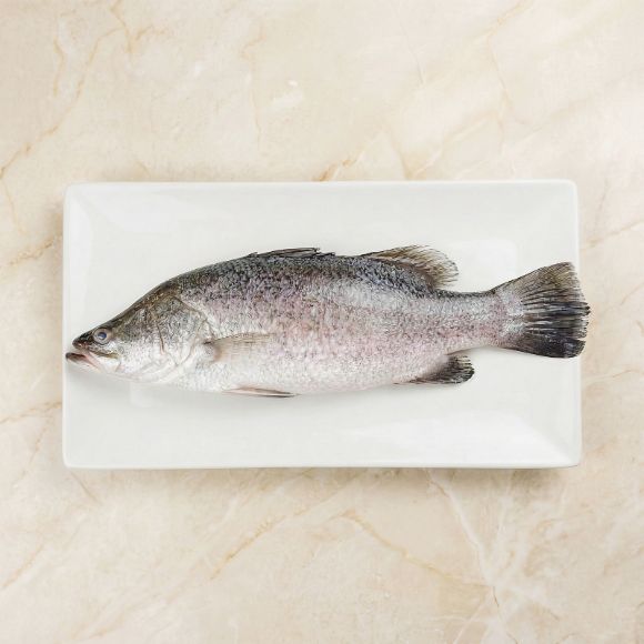 Cá chẽm làm sạch đông lạnh (khoảng 800~1000g), 1 con 1