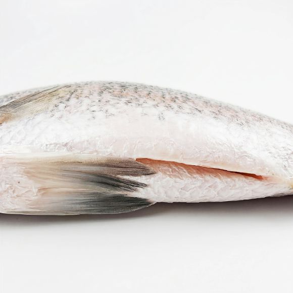 Cá chẽm làm sạch đông lạnh (khoảng 800~1000g), 1 con 3