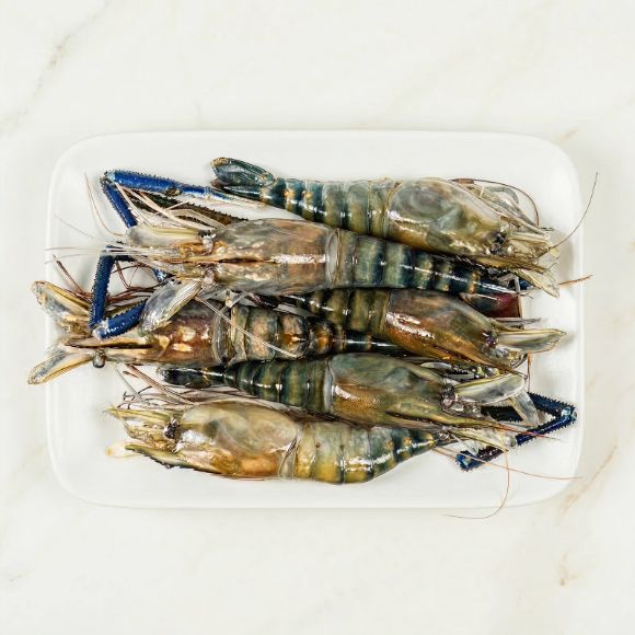 Tôm càng xanh 450g 1 hộp 1