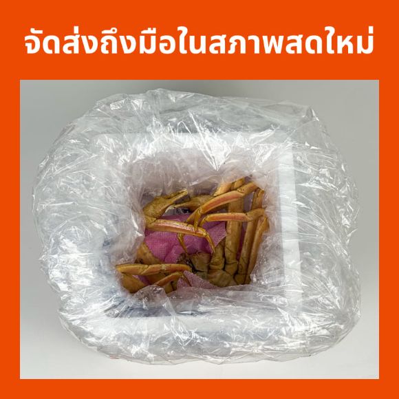 ปูทาราบะนึ่งสุก 1 กก., 1 ตัว 2