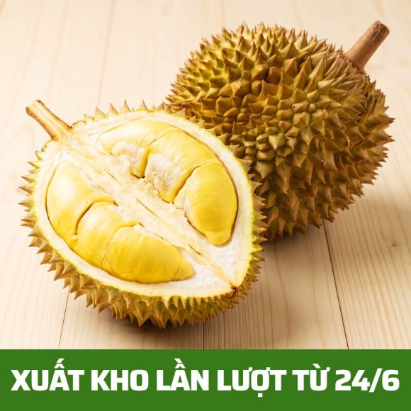 [Xuất kho lần lượt từ 17/6] Sầu riêng (1.5-2.5 kg) 1 quả 1