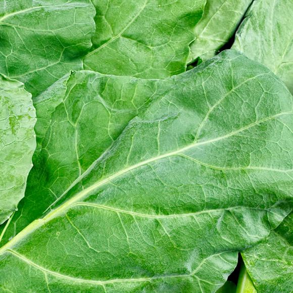 Chinese broccoli 500g 3