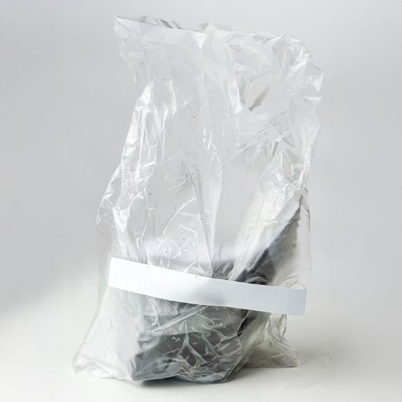 Cây giống đậu đũa, 1 cây 3