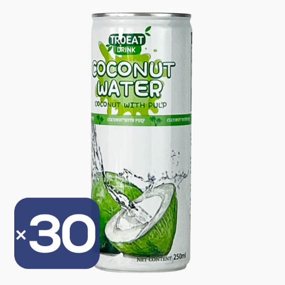 Air Kelapa 250ml, 30 kaleng, 1 box 1