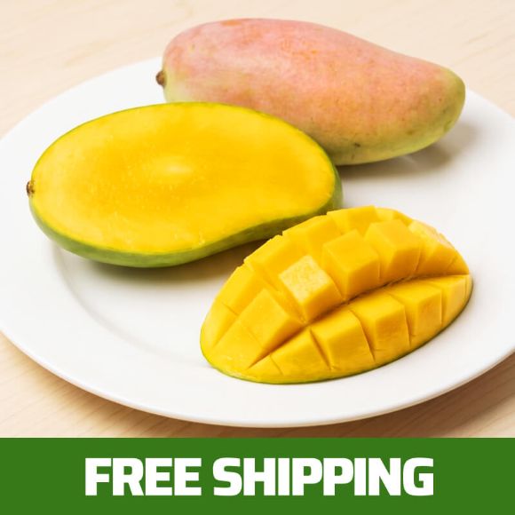Thai Yellow Mango (Mahachanok) 2kg (5~8 ea), 1 box 1