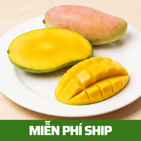 Xoài cầu vồng Mahachanok Thái 2.5kg(5~8 quả), 1 thùng 1