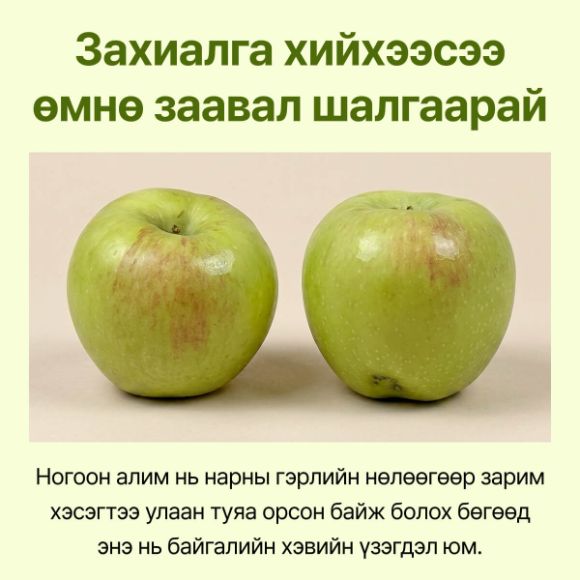 Ногоон алим (10~12 ширхэг) ойролцоогоор 2кг, 1 хайрцаг 5