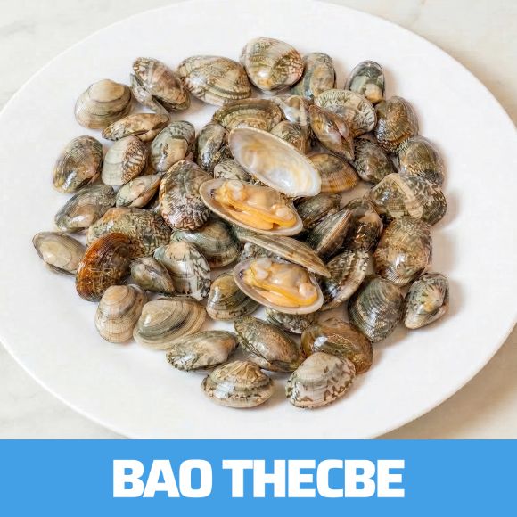 Nghêu sống 1kg 1