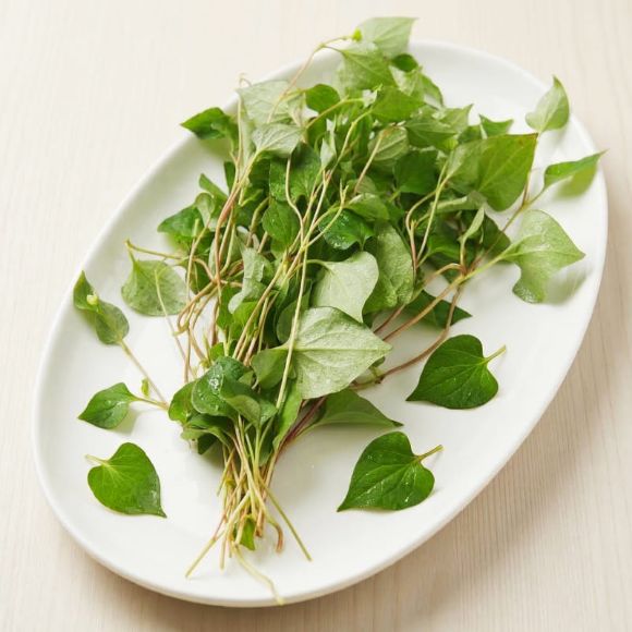 Fresh fish mint, 100g 1