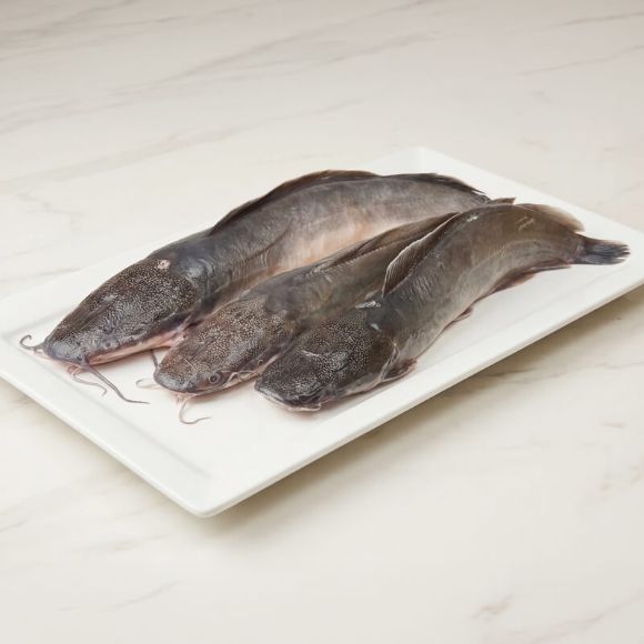 Cá trê Việt Nam đông lạnh 1kg, 1 bịch 1