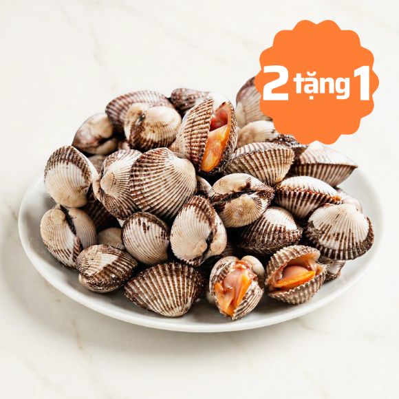 [Mua 2 tặng 1] Sò lông sống 500g 1