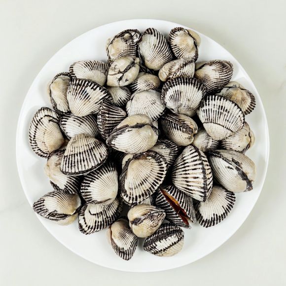 [Mua 2 tặng 1] Sò lông sống 500g 2