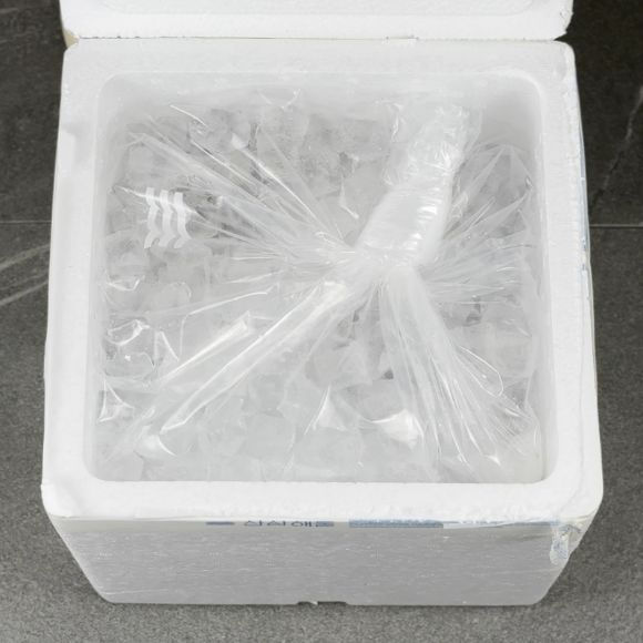 [Mua 2 tặng 1] Sò lông sống 500g 4