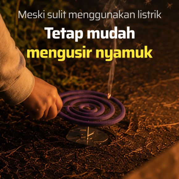 Obat nyamuk bakar Henkel Homekeeper, 10 buah 2