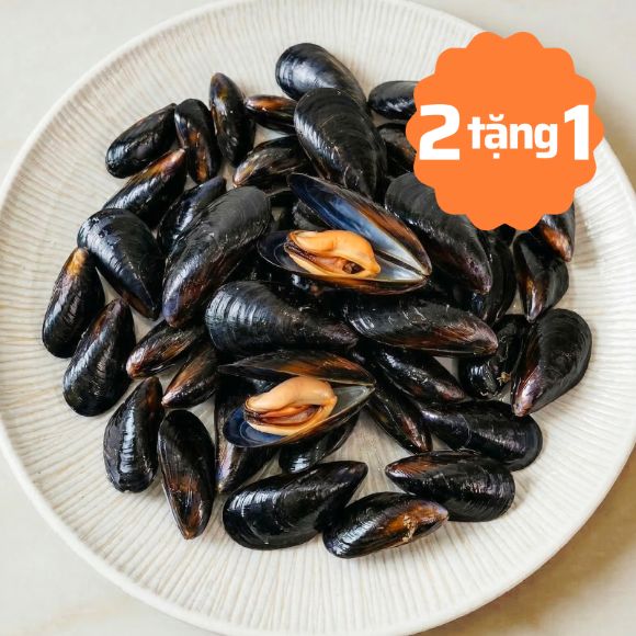 [Mua 2 tặng 1] Vẹm đen sống 500g 1