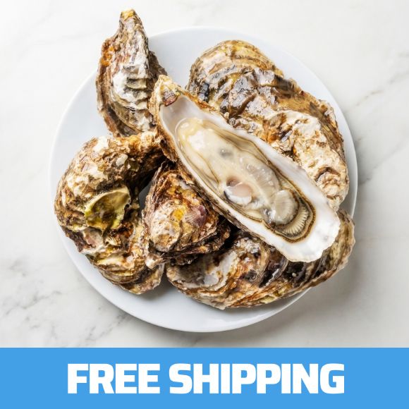 Whole Oysters 1kg 1