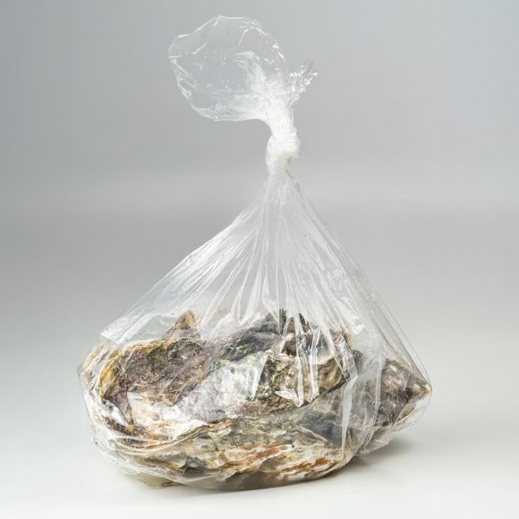 Whole Oysters 1kg 4