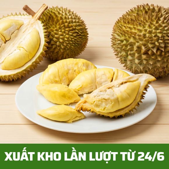 [Xuất kho lần lượt từ 24/6] Sầu riêng nguyên 3 quả (4kg), 1 thùng 1